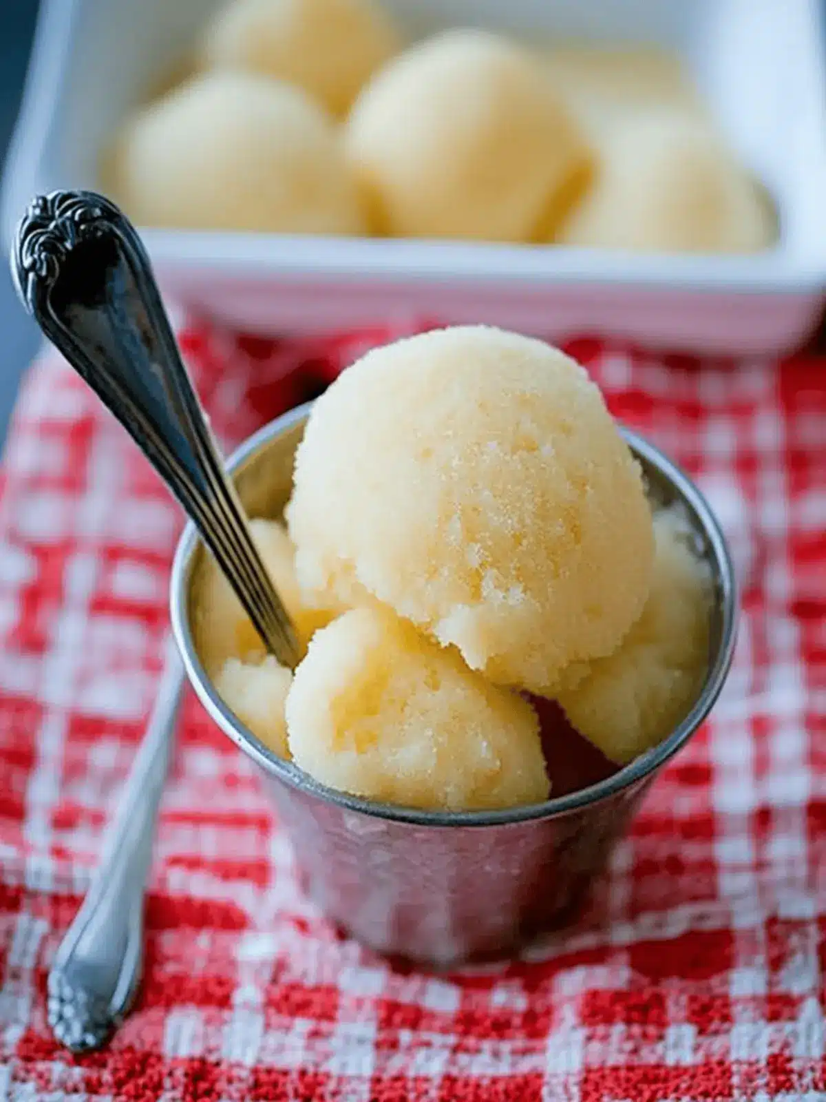 Apple Cider Sorbet