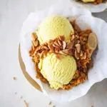 Delicious Vegan Turmeric Ginger Ice Cream with Crunchy Pecans 9 Vegan Turmeric Ginger Ice Cream