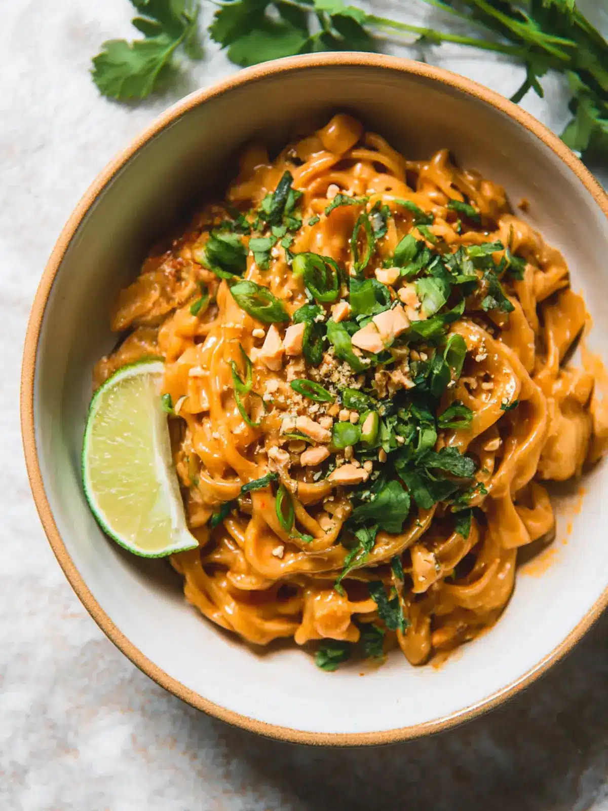 Gluten Free Red Curry Peanut Noodles Ready in Under 30 Minutes 5 Gluten Free Red Curry Peanut Noodles – Less Than 30 Minutes!
